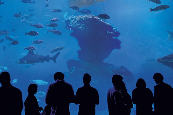 Ticket Palma Aquarium - Experience Details