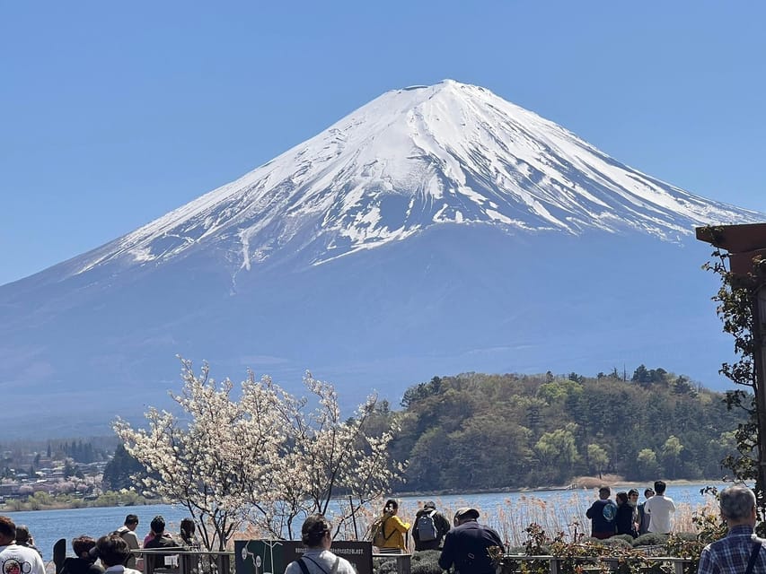 Tokyo: Mount Fuji Customizable Private Tour by Car - Customer Feedback and Ratings