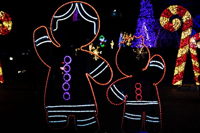 Toronto: Niagara Falls Festival of Lights All Inclusive Tour - Accessibility and Restrictions