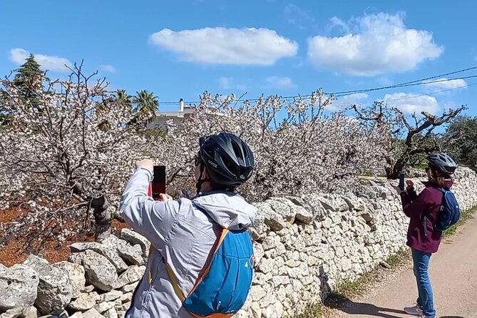 Tour Electric Bike With Farmhouse Lunch - Booking and Pricing