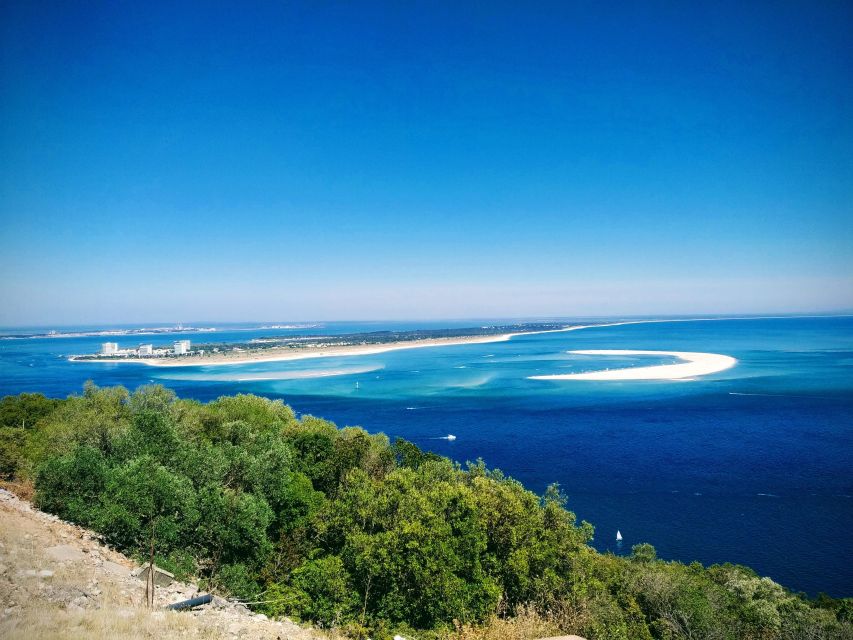 Tour of Arrábida and Beautiful Landscapes and Wine Tasting - Fishing Port of Setúbal