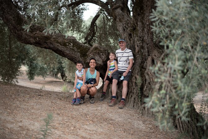 Tour of Olive Grove and Oil Mills With Oil Tasting - Review and Ratings