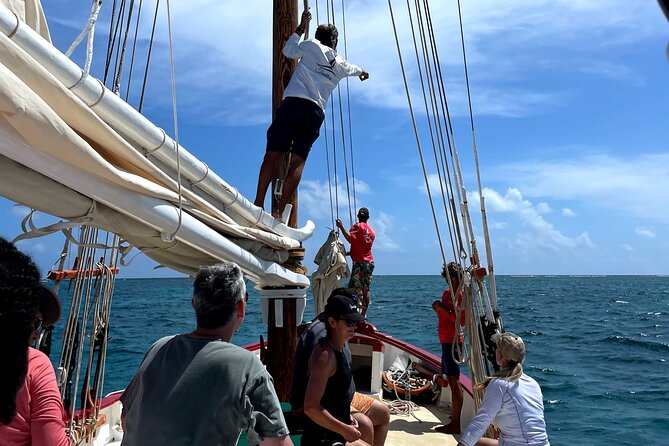 Traditional Sailing Adventure to Anguillas Prickly Pear Cays - Highlights of the Itinerary