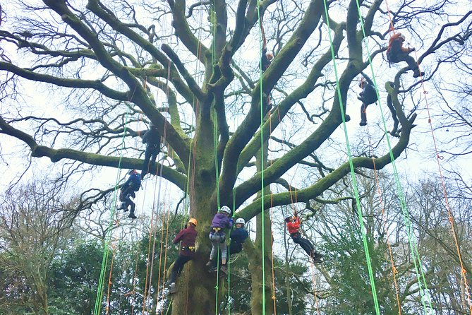 Tree Climbing Taster Session - Instructor and Techniques