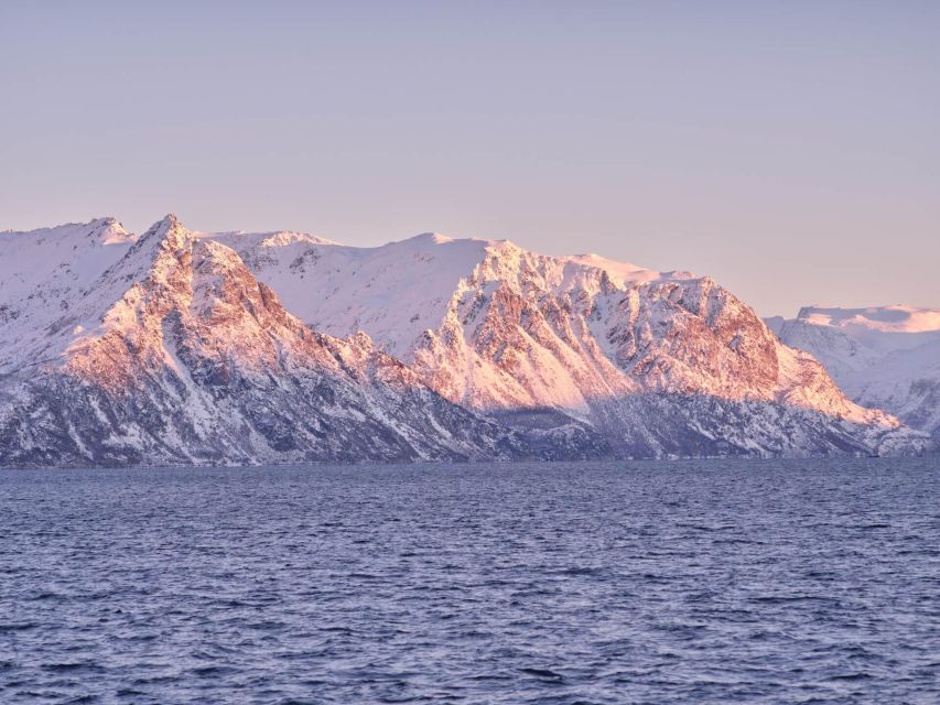 Tromsø: Arctic Fjord Cruise in Polar Landscapes - Cultural and Historical Insights