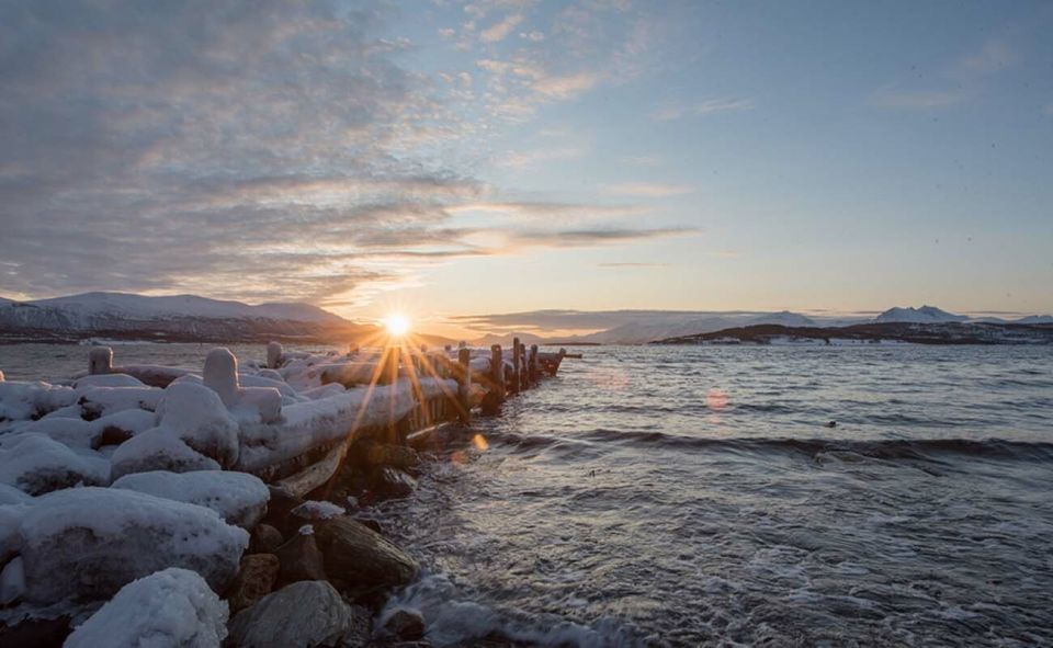 Tromsø: Arctic Sightseeing Tour & Citizen Science Project - Important Information