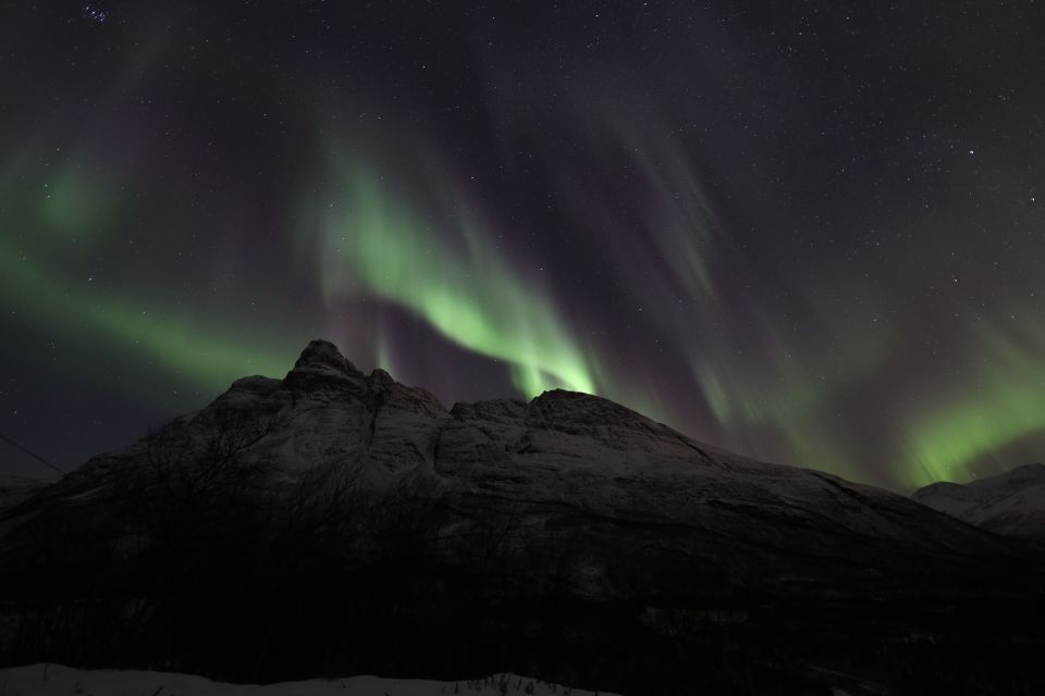 Tromsø: Aurora Borealis Chase With Guide, Meals & Campfire - Tour Duration and Conditions