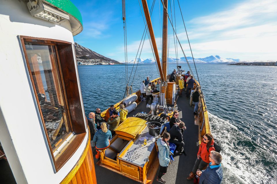 Tromsø: Fjord & History Cruise - Heated Salons and Toilets