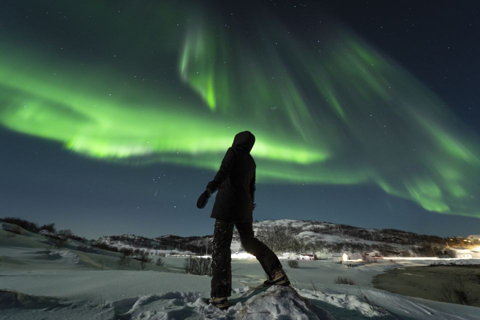 Tromsø: Northern Lights Guided Bus Tour - Recommended Attire and Preparation