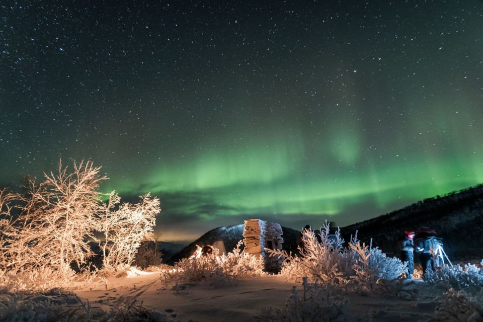 Tromsø: Northern Lights Photography Tour - Booking Information