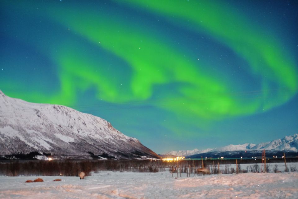 Tromso: Reindeer Sledding With Chance to See Northern Lights - Included in the Package