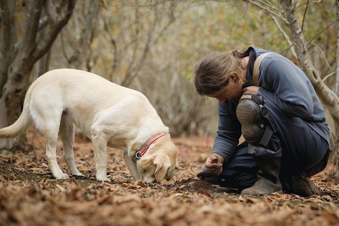 Truffle Hunt & Barolo Wine Tasting - Customer Reviews and Ratings