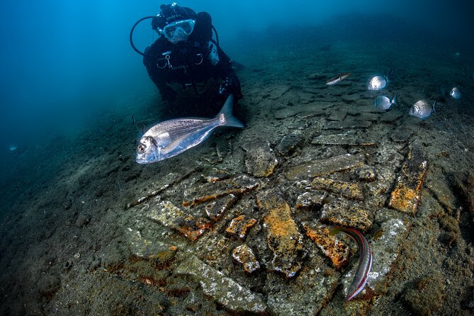 Try Scuba Dive on the Underwater Roman Ruins in Baia From Naples - Pricing Information