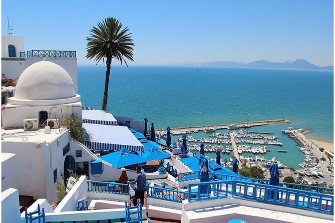 Tunis, Sidi Bousaid and Carthage Day Trip From Hammamet - Customer Reviews