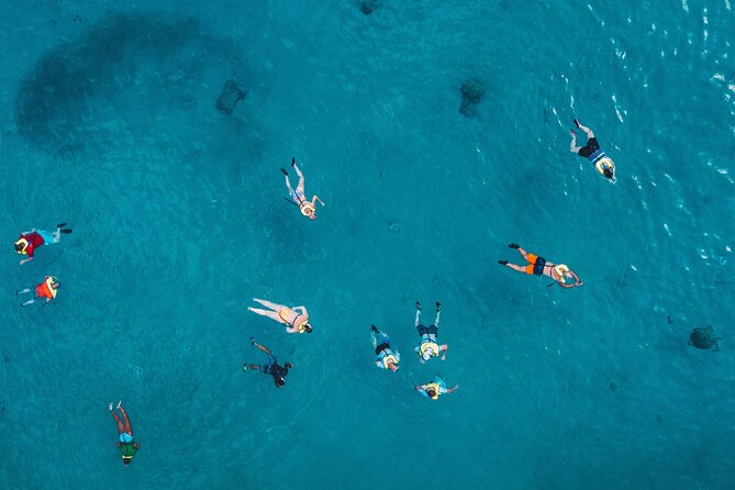 Turtle Snorkeling Adventure in Waikiki (Boat Tour) - Meeting Point and Logistics