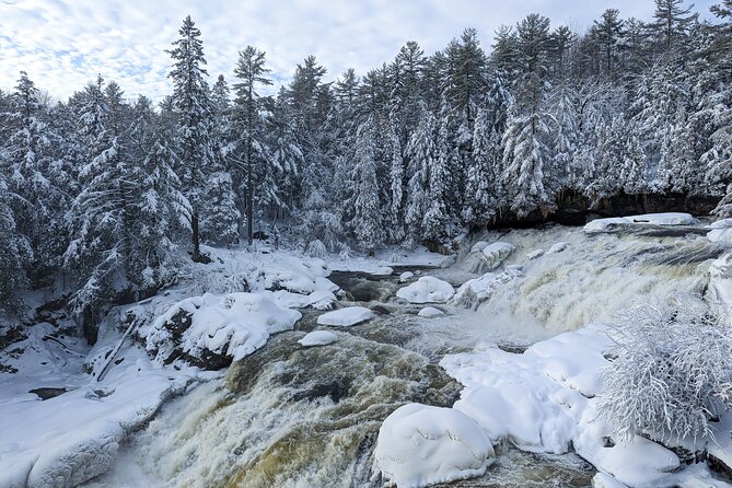 Ultimate Dog Sledding Tour - Day Trip From Ottawa & Gatineau - Confirmation & Weather