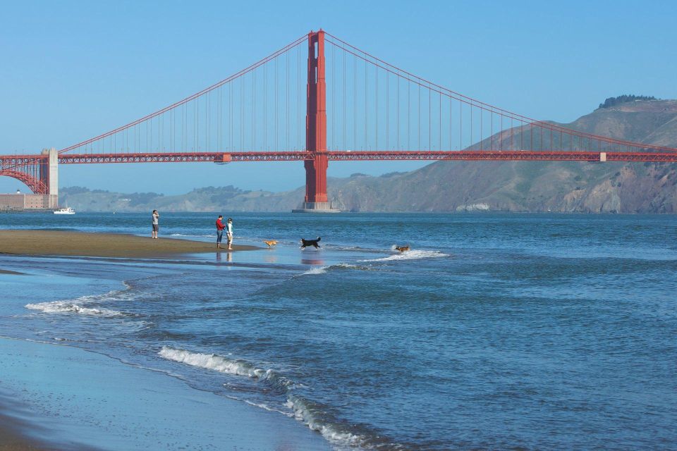 Ultimate Golden Gate Bridge & SF Bay Explorer Tour - Meeting Point and Self-Guided Walk