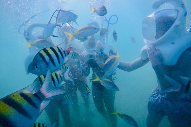 Underwater Sea Trek in San Juan: Explore Beneath the Waves - Exploring the Underwater Cove