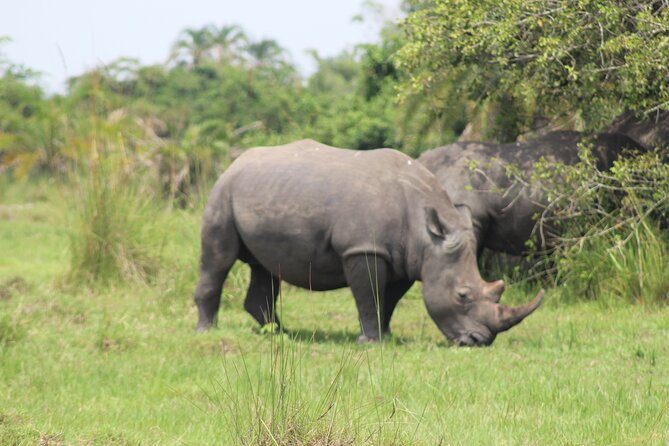 Unforgettable 3 Days Murchison Falls. - Safety and Health Considerations