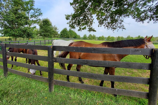 Unique Horse Farm Tours With Insider Access to Private Farms - Exclusive Access to Private Facilities