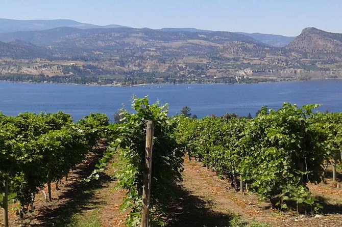 Unmatched Private Wine Tours for Up to 11 in Kelowna Area - Personalized Sipping Experience