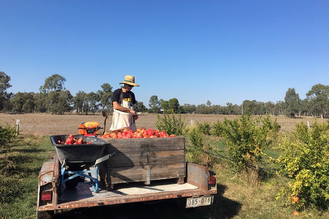 Unspoiled Spain for Foodies and Nature Lovers - A Small-Group, Personal Experience