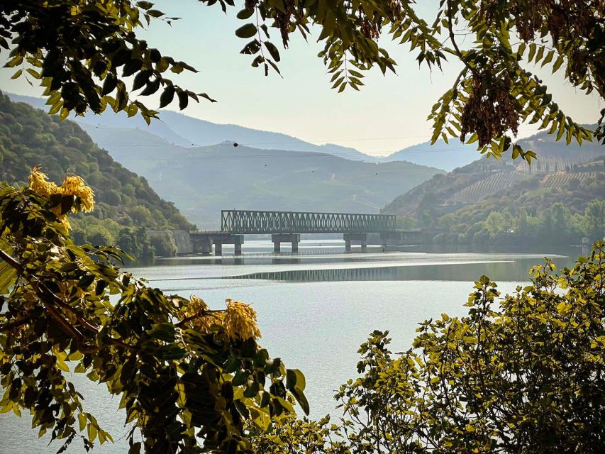 Upper Douro Valley - the Crown Jewel - UNESCO-Acclaimed Roads Explored