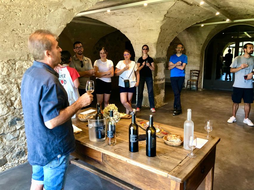 Vallon-Pont-d'Arc: Electric Bike Wine Tour & Tasting - Age and Skill Requirements