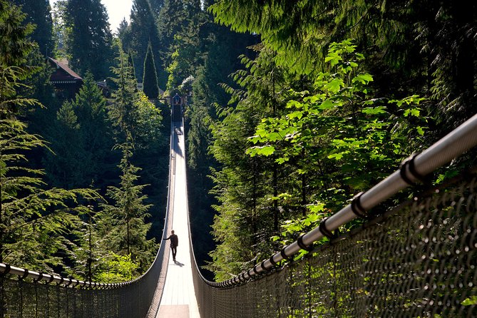 Vancouver City Tour Including Capilano Suspension Bridge - Adventure at Capilano