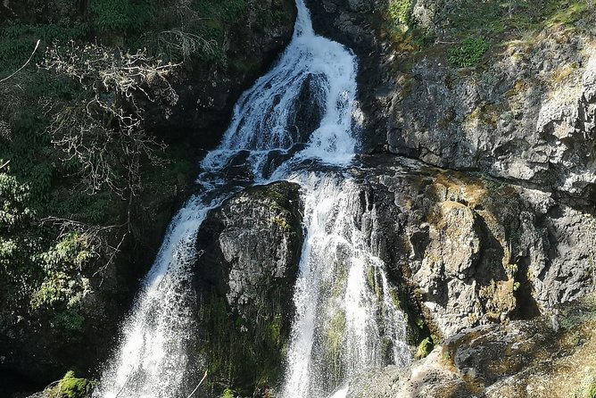 Vancouver Island Rainforest Guided Hike With Private Guide - Transportation and Accessibility