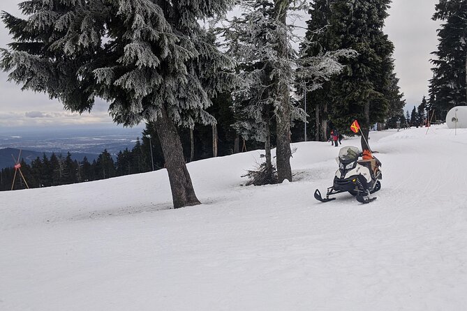 Vancouver Mountain to Mountain (Grouse,Cypress,Mount Seymour) Private - Olympic Venue at Cypress Mountain