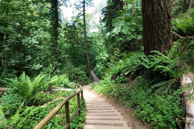 Vancouvers Natural Stair Master Workout, With Beach Walk - Pickup and Drop-off