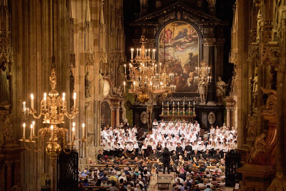 Vienna: Classical Concert at St. Stephens Cathedral - Location and Access