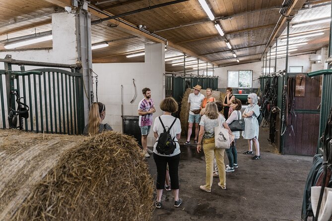 Vienna Horse-drawn Carriage Guided Tour - Visiting the Stables