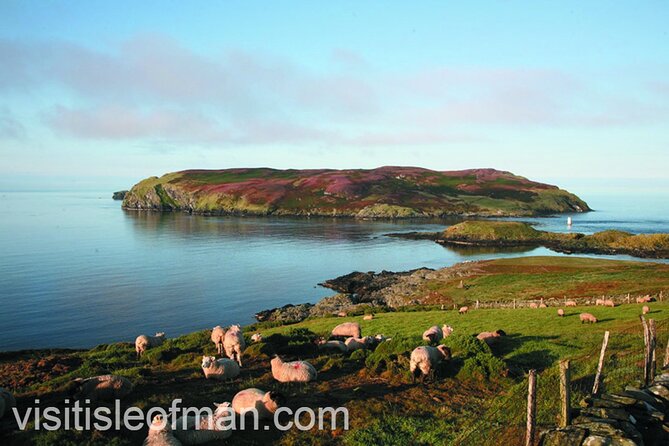 Viking Tour of the Isle of Man - Half Day - Private Tour - Exploring the Parish Church