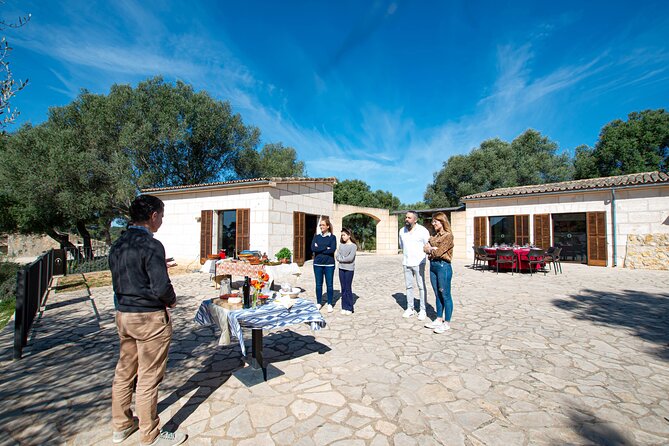 Visit the Finca and Olive Grove, Extra Virgin Olive Oil Tasting and Snack - Olive Oil Tasting and Snacks