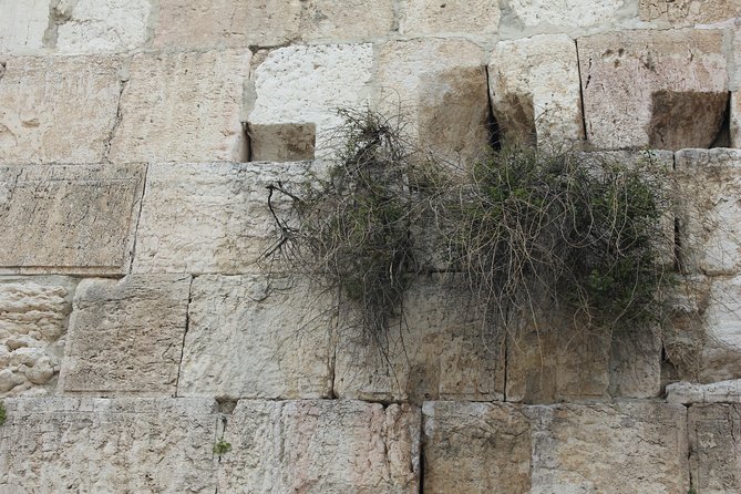 Visit the Old City of Jerusalem : 3000 Years of History, Archeology and Bible - Journey Through Time