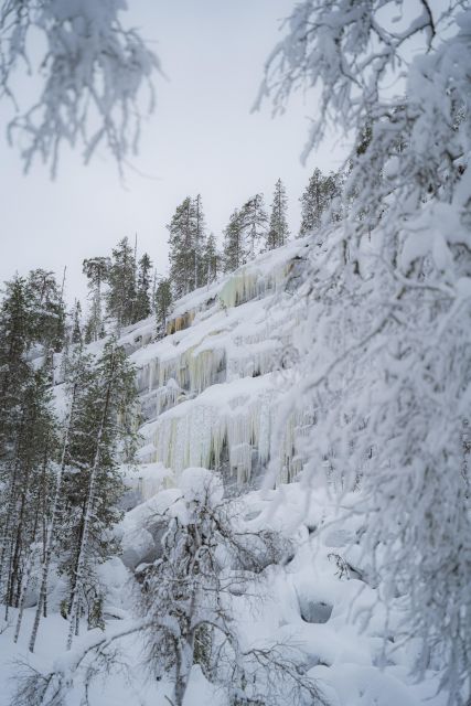 Visit to the Frozen Waterfalls of Korouoma - Lunch and Special Diets