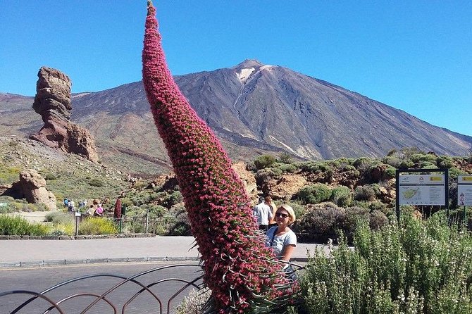 Volcano Teide - Masca Ravine. Guided Tour From Puerto De La Cruz - Tenerife - Insights From Local Guide