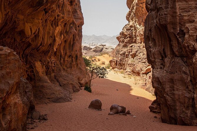 Wadi Rum Half-Day Desert Tour | Wadi Rum Desert - Tour Style and Group Size