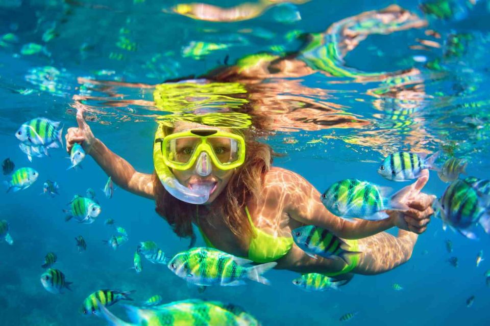 Waikiki: 5-In-1 Turtle Snorkeling Trip With Transfer - Suitability and Safety