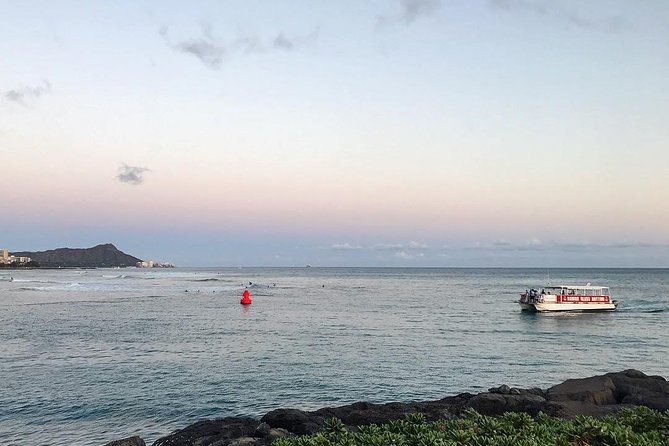 Waikiki Beach Glass Bottom Boat Cruise - Marine Life Viewing Possibilities