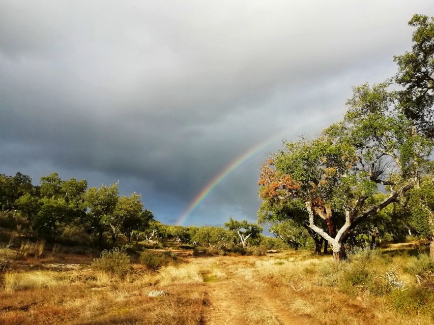 Walk the Cork Forest Experience Pack - Booking and Cancellation Policy