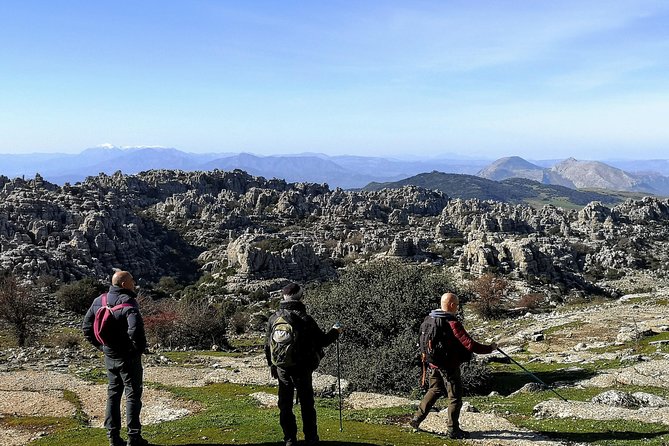 Walking Among Ammonites, El Torcal De Antequera - Exploring the Ammonite-Filled Landscape