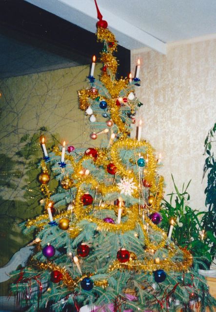 Walking on the Historical Trail of Viennese Christmas Trees - Illuminated City During Advent