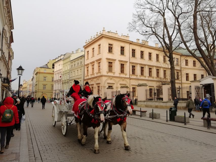 Warsaw: Tour to Krakow and Auschwitz by Train With Pickup - Customer Feedback