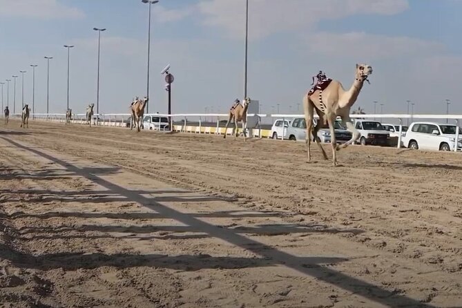 West Of Qatar, Mushroom Rocks, Camel Racing Track, Richard Serra - Cancellation Policy