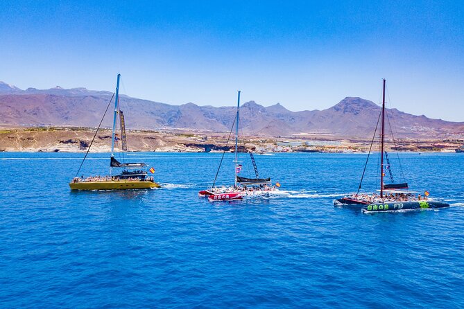 Whale Watching Catamaran in Costa Adeje (Including Drinks & Sandwich) - Coastal Views and Relaxation