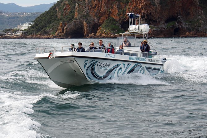 Whale Watching Knysna - Close Encounter Experience Ocean Odyssey - Meeting Point and Travel Directions