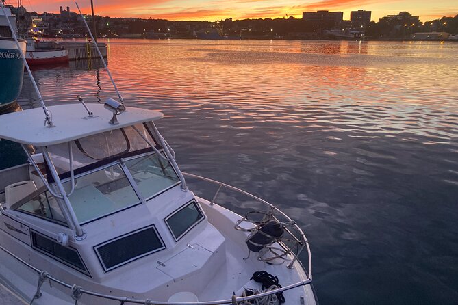 Whale Watching, Shark and Cod Fishing, From St. Johns Harbor - Highlights of the Aquatic Excursion